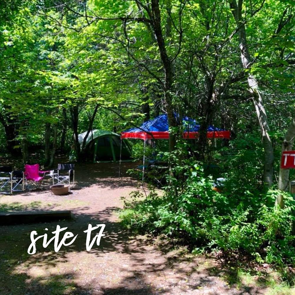 Escape to Paradise: Montana's Moosehead Campground - Your Gateway to Adventure